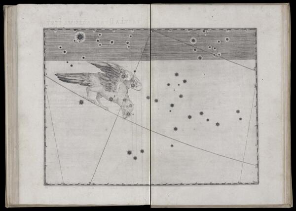 Tabula quadragesima tertia. Corvus.