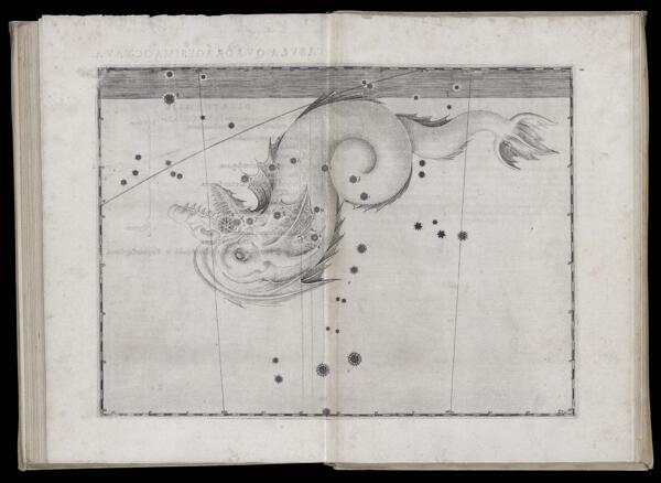 Tabula quadragesima octava. Piscis Notius.