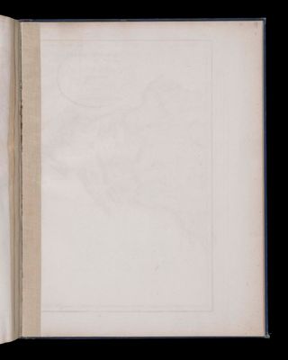 Text (balnk) page 19