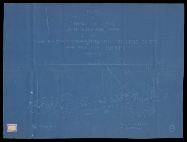 Plan of tract of land in northeast part of TWP No. 7, R.10, N.W.P., (Bowdoin College East), Piscataquis County, Maine