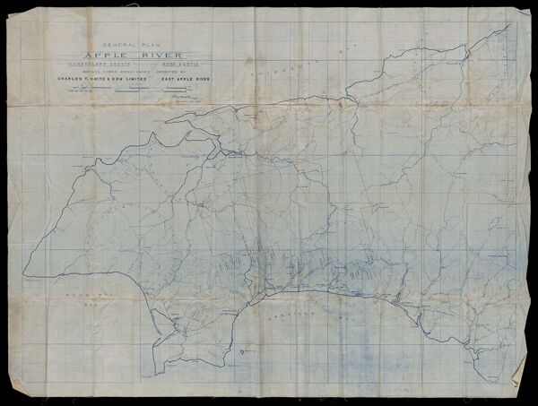 General Plan Apple River, Cumberland County, Nova Scotia shewing timber areas owned and operated by Charles T. White and Son Limited, East Apple River.