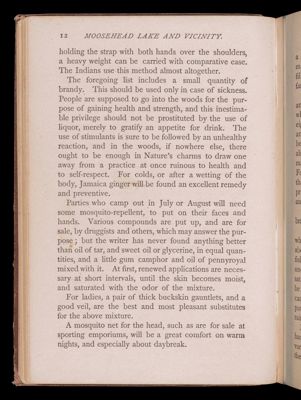 Summer vacations at Moosehead Lake. Part first. How to camp out.