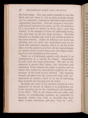 Summer vacations at Moosehead Lake. Part first. How to camp out.