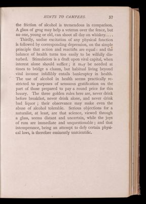 Summer vacations at Moosehead Lake. Part first. How to camp out.