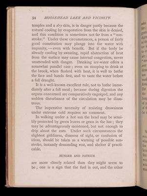 Summer vacations at Moosehead Lake. Part first. How to camp out.