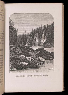 Ripogenous Gorge -- looking West.