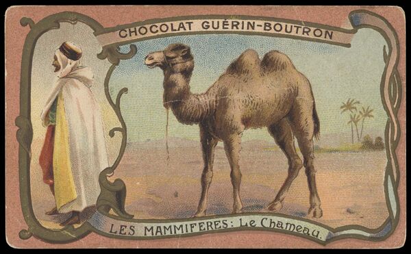 [Chocolate Guerin-Boutron African Mammals]