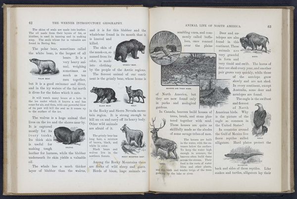 The Werner Introductory Geography / Animal Life in North America
