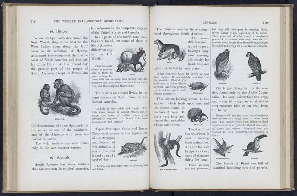 The Werner Introductory Geography / Animals