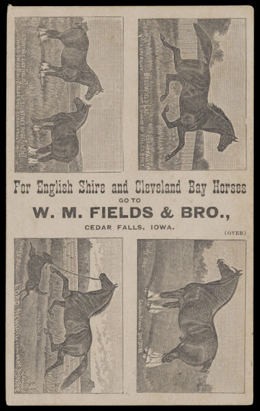 The Prize Winning Stud of English Shire and Cleveland Bay Horses: W.M. Fields & Brother, Importers and Breeders