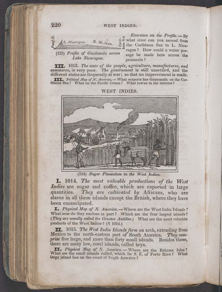 West Indies. Sugar production in the West Indies.