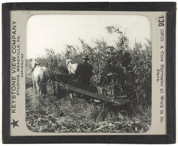 A Corn Harvester at Work in Indiana.