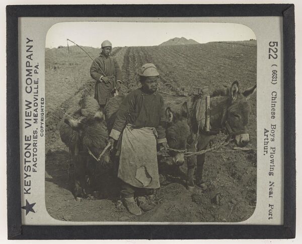 Chinese Boys Plowing Near Port Arthur.