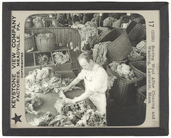 Sorting Wool After Cleaning and Washing, Lawrence, Mass.