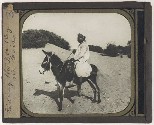 Riding the Donkey in Cairo