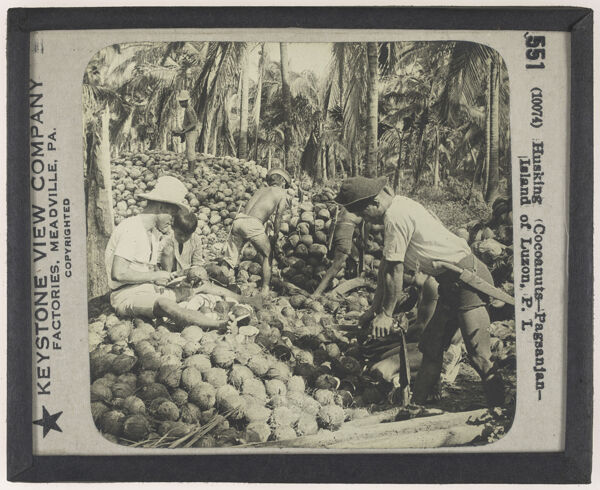 Husking Coconuts—Pagsanjan—Island of Luzon, P.I.