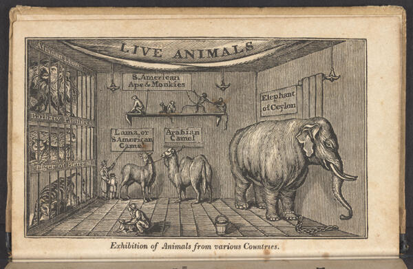 Exhibition of Animals from various Countries.