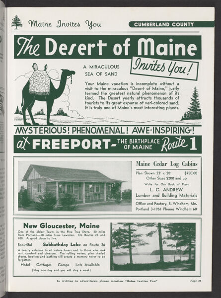 The Desert of Maine