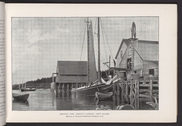 Shipping Fish, Prince's Landing, Orr's Island.