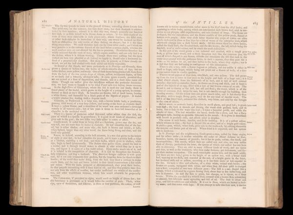 Page 195