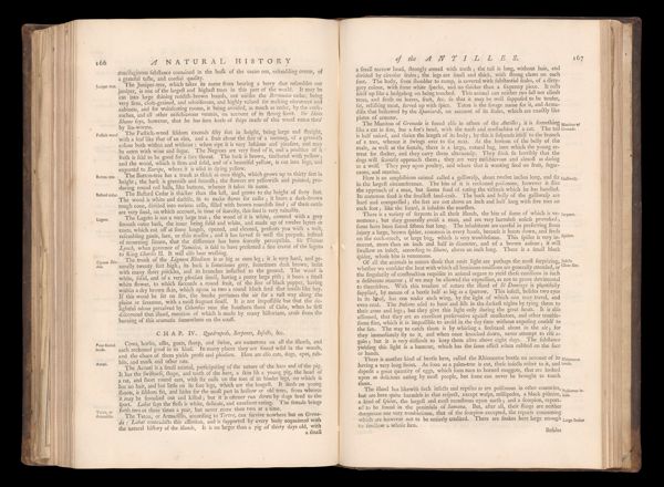 Page 197