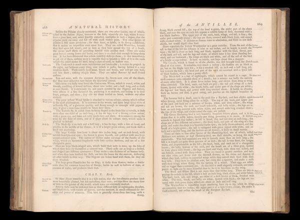 Page 198