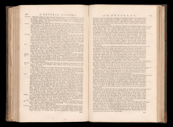 Page 199