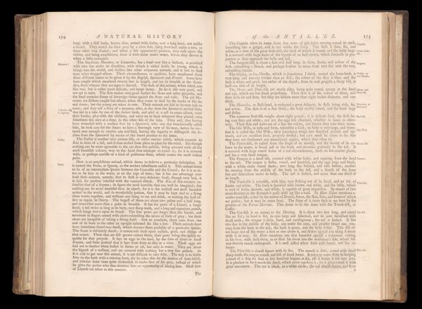 Page 201