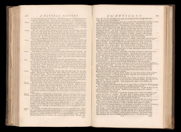 Page 202