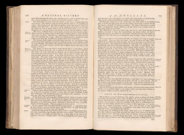 Page 203
