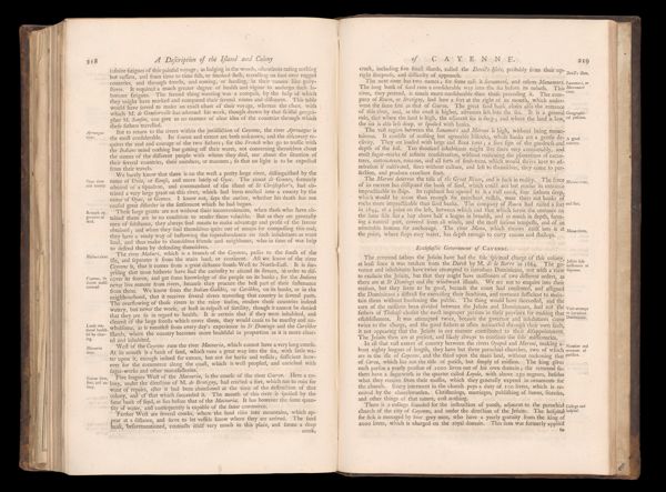 Page 225