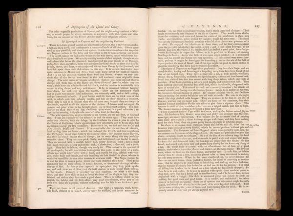 Page 229