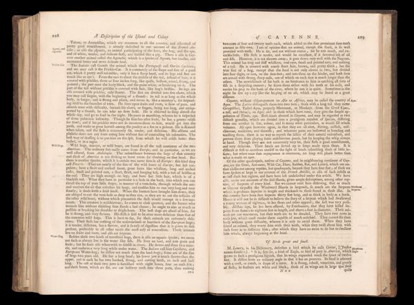 Page 230