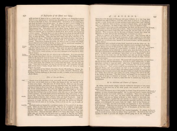 Page 231