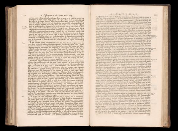 Page 232