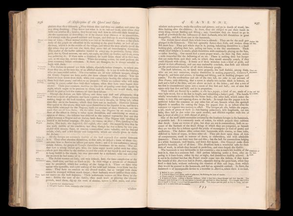 Page 234