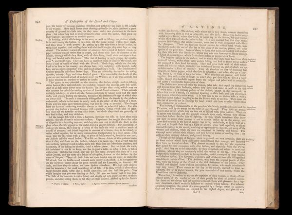 Page 236