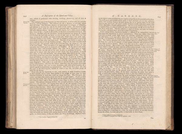 Page 237