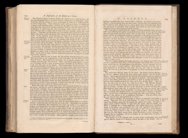 Page 238