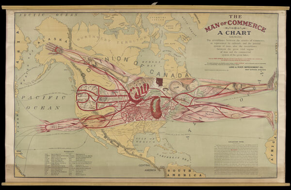 The man of commerce : a chart showing the resemblance between arteries of commerce, as represented by railroads, and the arterial system of man; also, the resemblance between the great vital organs of man and the commercial system of great lakes.