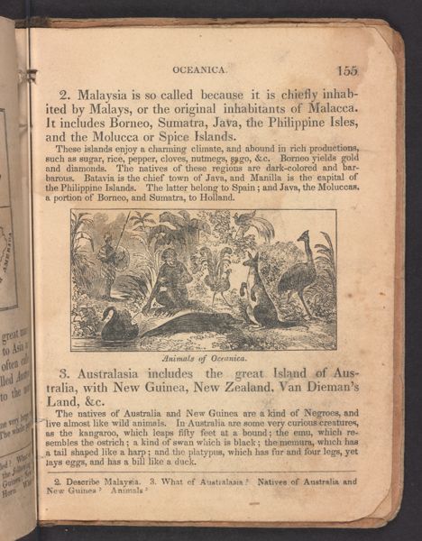 Animals of Oceania