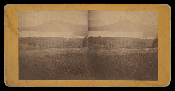 [View of mountains and lake from a hill]