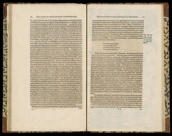 Text Page 43