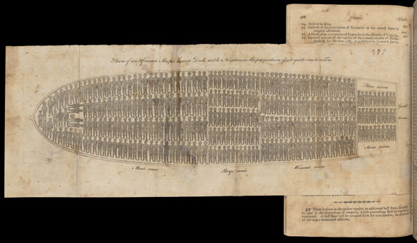 Plan of An African Ship's lower Deck [...]
