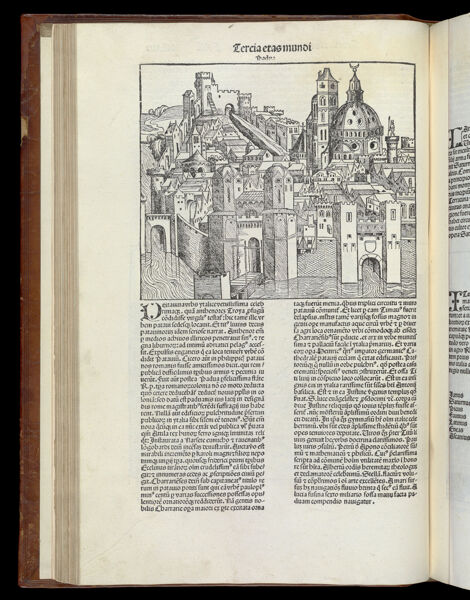 [The Third Age of the World - Folio XLIIII verso] Padua