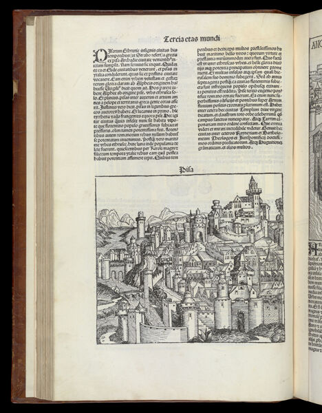 [The Third Age of the World - Folio XLV verso] Pisa