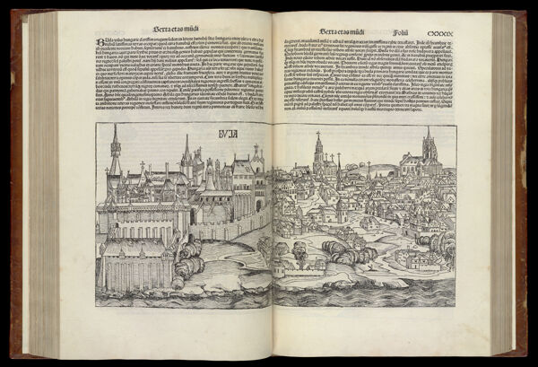 [The Sixth Age of the World - Folio CXXXVIII verso and CXXXIX recto] Buja [Budapest]