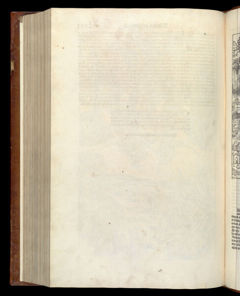 Text Page (Blank) 5