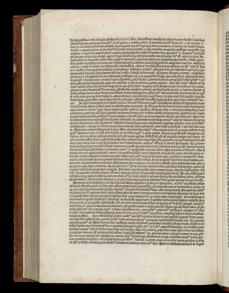 Text Page 485