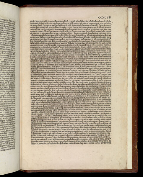Text Page 494
